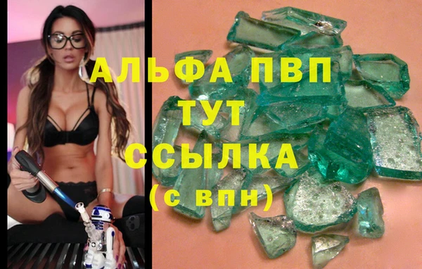 амф Вяземский