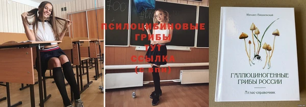 ешки Вязьма