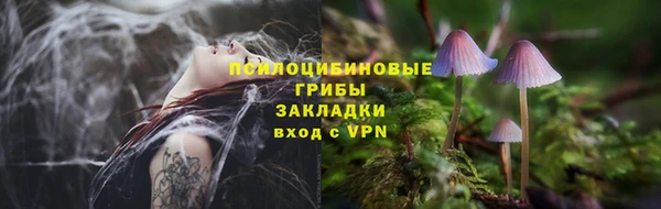 Альфа ПВП Горняк