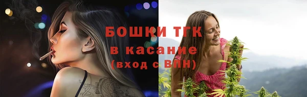 Альфа ПВП Горняк
