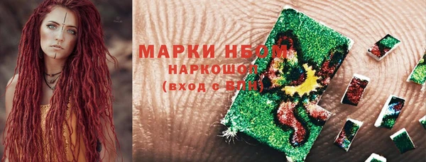 амф Вяземский