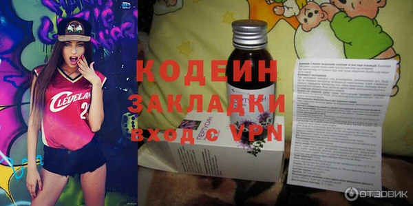 амф Вяземский