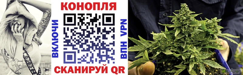 Купить где  Кинешма  Бошки марихуана конопля 